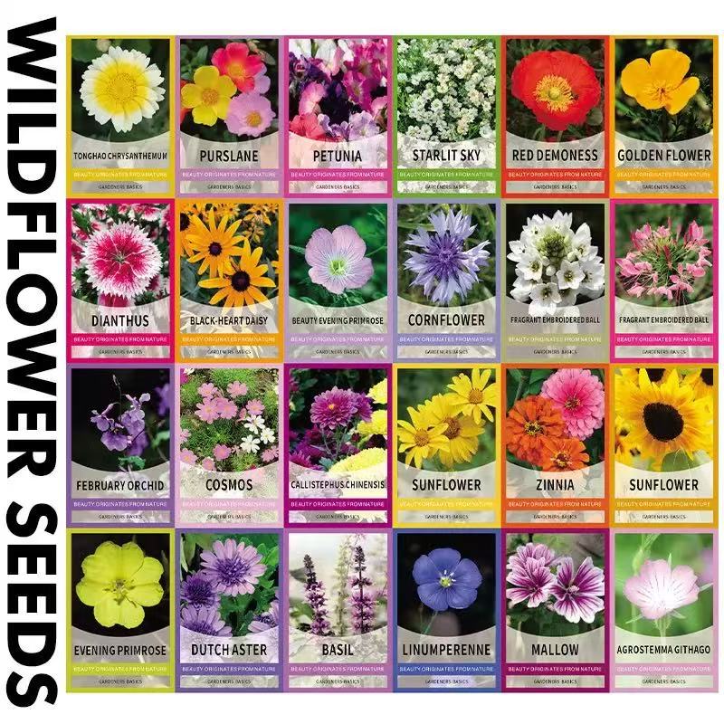 Perennial Wildflower Seeds